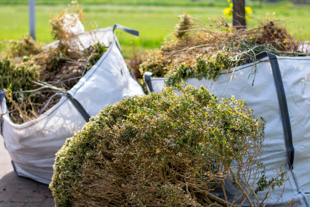 Best Professional Junk Removal  in South Windham, CT
